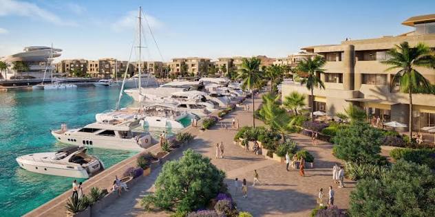 Shura Island Saudi Arabia Red Sea